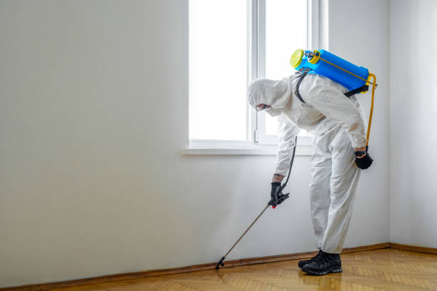 Best Rat Extermination Near Me  in Sherwood, OR