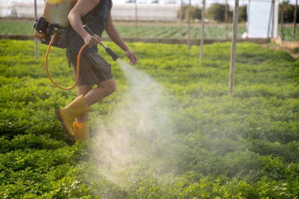Professional Pest Control in Sherwood, OR