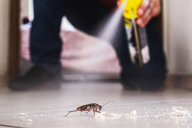 Flea Control Services in Sherwood, OR