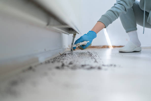 Best Local Pest Control Services  in Sherwood, OR