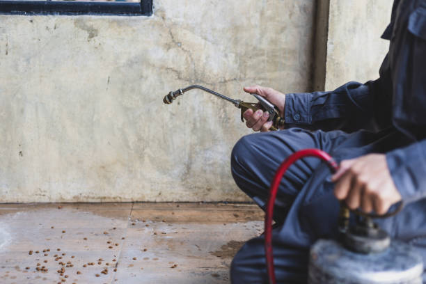 Best Mosquito Control Services  in Sherwood, OR