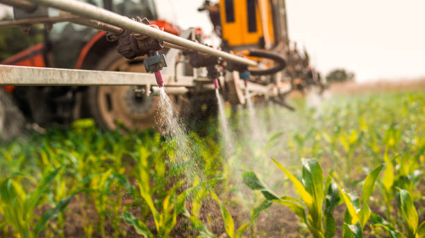 Professional Pest Control in Sherwood, OR