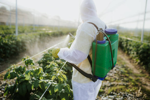 Best Bed Bug Extermination  in Sherwood, OR